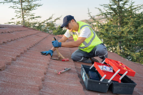 Roof Installation Near Me in Laguna Hills, CA